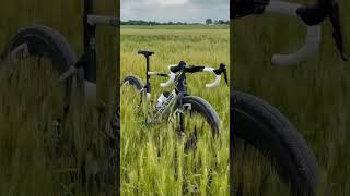 Alex Howes’ natureinspired SuperSix EVO SE asmr cannondale supersixevose nature windy [upl. by Lenssen362]