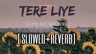 Tere Liye slowedreverb  Sanam Re  Ankit Tiwari  Mithoon [upl. by Anes]