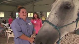 Horses Helping Humans comes to Wauchope NSW 7 news clip [upl. by Riddle443]