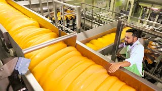 How CHEESE Is Made  Modern Cheese Factory [upl. by Jeaz]