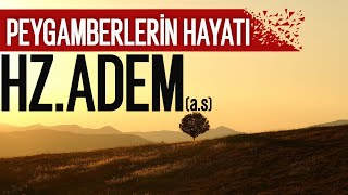 HzAdemin as Hayâtı  İbrahim Soydan Erden [upl. by Kevan704]