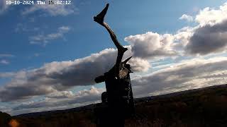 Poole Harbour Osprey Nest Camera  Aerial View [upl. by Amhser]