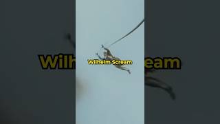 Where Did the Wilhelm Scream Come From starwars film [upl. by Troc655]