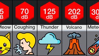 Comparison Loudest Sounds [upl. by Gaylene922]