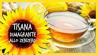 Tisana dimagrante allo Zenzero ricetta per dimagrire [upl. by Enilec747]