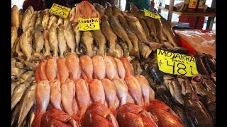 Semana Santa tiene disponibles más de 100 especies de pescados y mariscos a precios accesibles [upl. by Aiel]