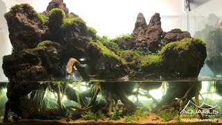 Un paludarium en aquascaping  Un décor inspiré du Mordor  Par Laurent Garcia [upl. by Esiuole]