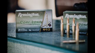 Remington CoreLokt Tipped [upl. by Kcirddor]