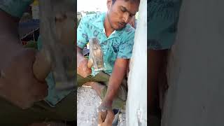 Hol kating youtubeshorts home plumber palumbingrcc construction comment [upl. by Ama]