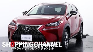 レクサス NX200t Fスポーツ 2015年式 [upl. by Rairb]