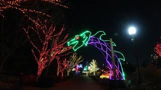 Lincoln Park Zoo Lights Locations 1 [upl. by Aronas]