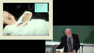 Prof William Campbell  The Story of Ivermectin [upl. by Eresed385]