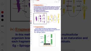 Regeneration and fragmentation [upl. by Tarkany]