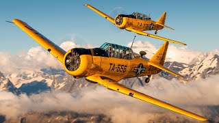 Warbird Formation North American T6 [upl. by Mccarthy]