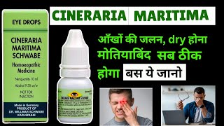 Cineraria Maritima Schwabe Eye Drops Benefits in Hindi Cineraria Drops Reivew Fayde [upl. by Saunder733]