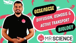 Diffusion  Osmosis  Active Transport  GCSE  IGCSE Biology  Mr Science in 8K [upl. by Oinigih261]