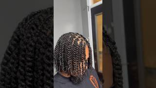 The Perfect Two Strand Twist [upl. by Townshend]