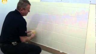 Tommys Trade Secrets  How To Grout Tiles [upl. by Egduj]