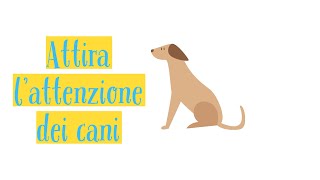 Suoni per Cani  Richiamo per cani [upl. by Johnette]