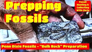 Prepping Fossils  Penn Dixie Fossil Bulk Trilobite Preparation Fossil Hunting amp Collecting W Chris [upl. by Mclaughlin]