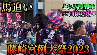 【熊本祭り】伝統名物馬追い 藤崎八旛宮秋季例大祭 2023藤崎宮例大祭 [upl. by Lyontine]