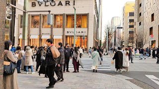 জাপানের একটি আভিজাত্য পূর্ণ দামি শহর গিনজা। Ginza View Tokyo Japan [upl. by Annirac]