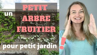 Un PETIT ARBRE FRUITIER pour petit jardin si charmant [upl. by Dorree]