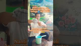 HASIL KERINGAT luculucuan keringat keringatmalam ketawaajalah funny funnyshorts ketawabebas [upl. by Leia]