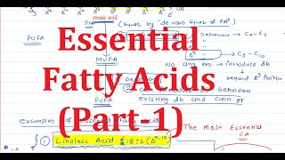 10 Omega3 ω3 and Omega6 ω6 Fatty Acids [upl. by Emmeram154]