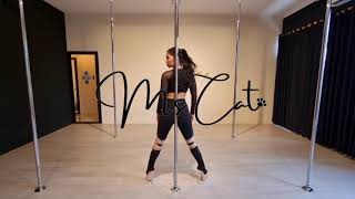 River  Bishop Briggs Exotic Pole Dance Choreography  Pole Dance Indonesia [upl. by Haskins]