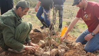 Consejos para plantar árboles en zonas áridas [upl. by Nela]