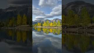 The image of trees can be clearly seen in a calm water body [upl. by Darbee]