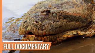 Deadly Encounter  Anaconda the Silent Predator  Full Documentary [upl. by Aham502]