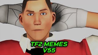 TF2 MEMES V55 [upl. by Geller]