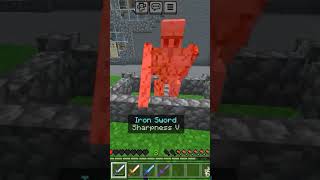 testing every sword damage with sharpness 5 minecraft shortvideo viral [upl. by Voleta]