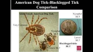 Emerging Tickborne Diseases Lyme Disease the Blacklegged Tick and More [upl. by Yniffit595]