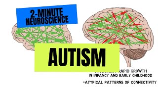 2Minute Neuroscience Autism [upl. by Oruntha]