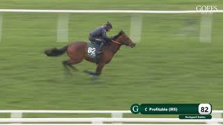 Goffs Breeze Up 2024  Lot 82 [upl. by Nedyaj]