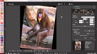 Digital Photo Professional DPP 4 Editing Images [upl. by Aehsat]