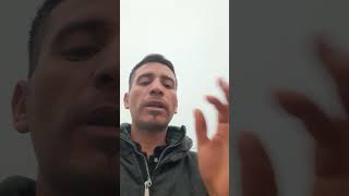 el hornero es el pájaro 🐦 más responsable confirmado humor reirse suscribite viralvideo video [upl. by Yawnoc]