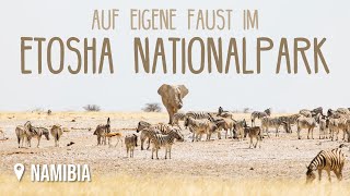 Etosha Nationalpark Selbstfahrer • Namibia Roadtrip • Weltreise Vlog 148 [upl. by Keisling797]