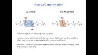 Tips and Considerations for Genomewide DNA methylation and RRBS Dr Aniruddha Chatterjee [upl. by Atteragram]