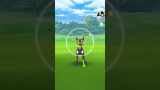 Zygarde Is Here 🤩 pokemongo [upl. by Frasier]