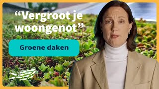 Groene daken alles over de impact en voordelen [upl. by Annaeiluj]