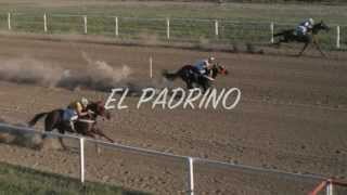 EL PADRINO  GRUPO LABERINTO [upl. by Essilem]