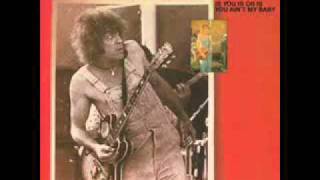 ELVIN BISHOP Drunk [upl. by Maharba736]