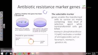 Marker genes and their role in plant biotechnology [upl. by Diarmuid699]