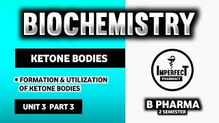 Formation And Utilisation Of Ketone Bodies  Ketogenesis  Ketolysis  Ketoacidosis  Ketone Bodies [upl. by Celio484]