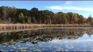 Crosswinds Marsh Walking [upl. by Annauj]