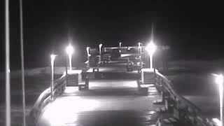 WOW Real Footage of The Ghostly Gray Man of Pawleys Island [upl. by Ayin]